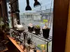 １８(スラ)